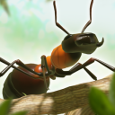 Ant War – Kingdom Battles